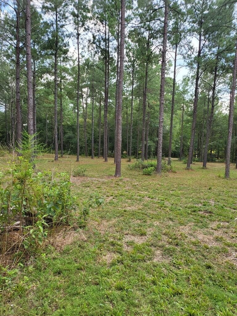 10.1 acres in Texas County - photo 4
