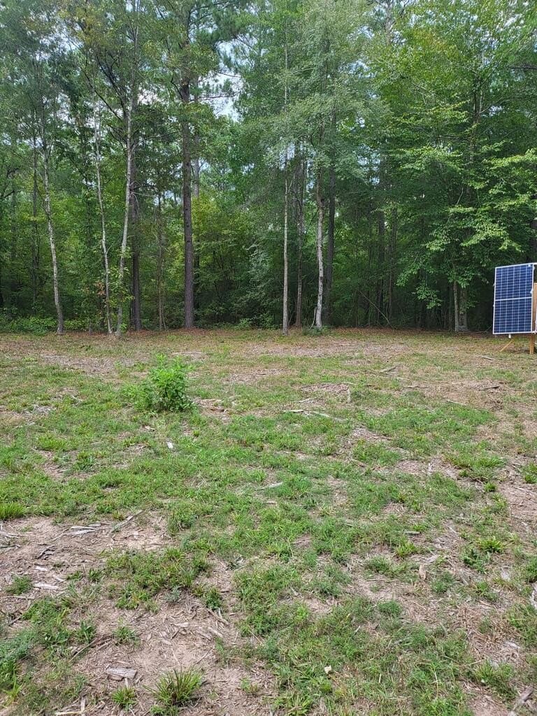 10.1 acres in Texas County - photo 6