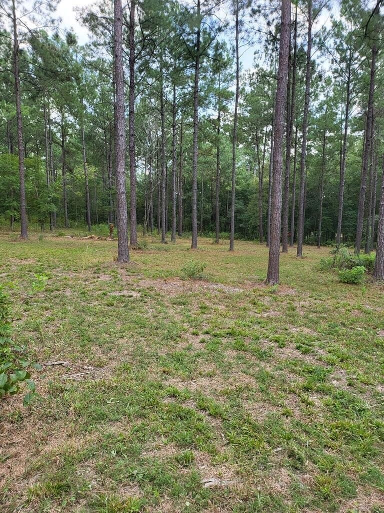 10.1 acres in Texas County - photo 2