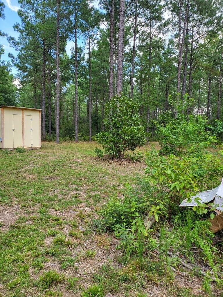 10.1 acres in Texas County - photo 7