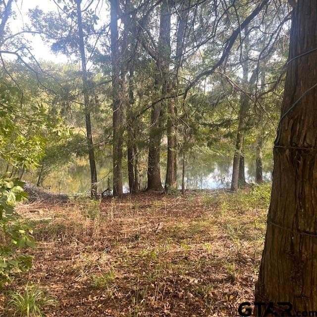 298.69 acres in Wood County featured view