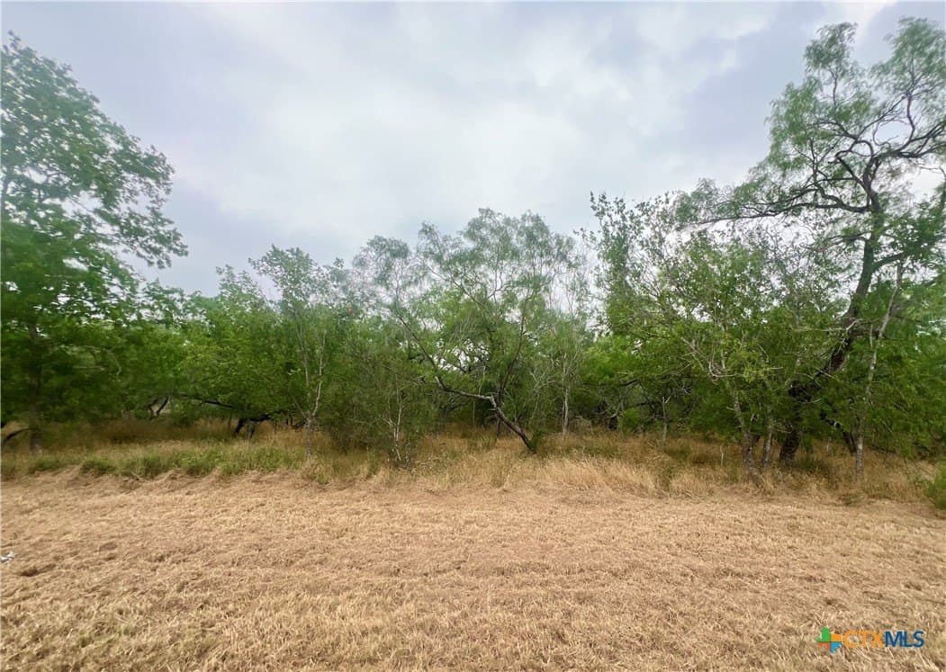 1 acres in Gonzales County
