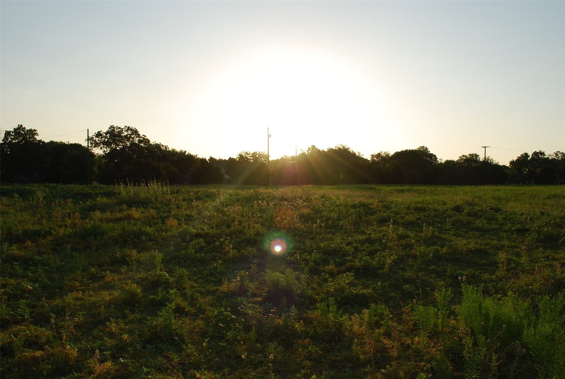 1.53 acres in Rockwall County gallery image 4