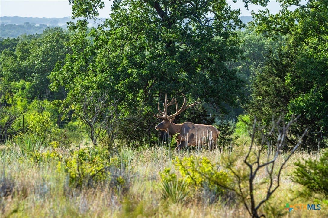 235 acres in Comanche County - photo 17