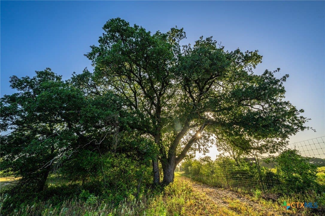 235 acres in Comanche County - photo 13