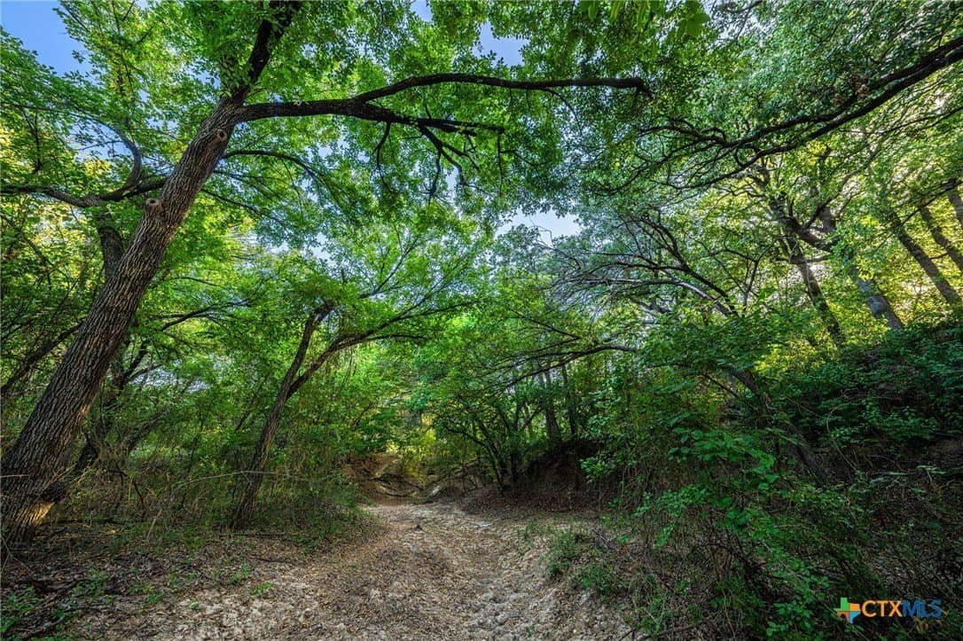 235 acres in Comanche County - photo 10