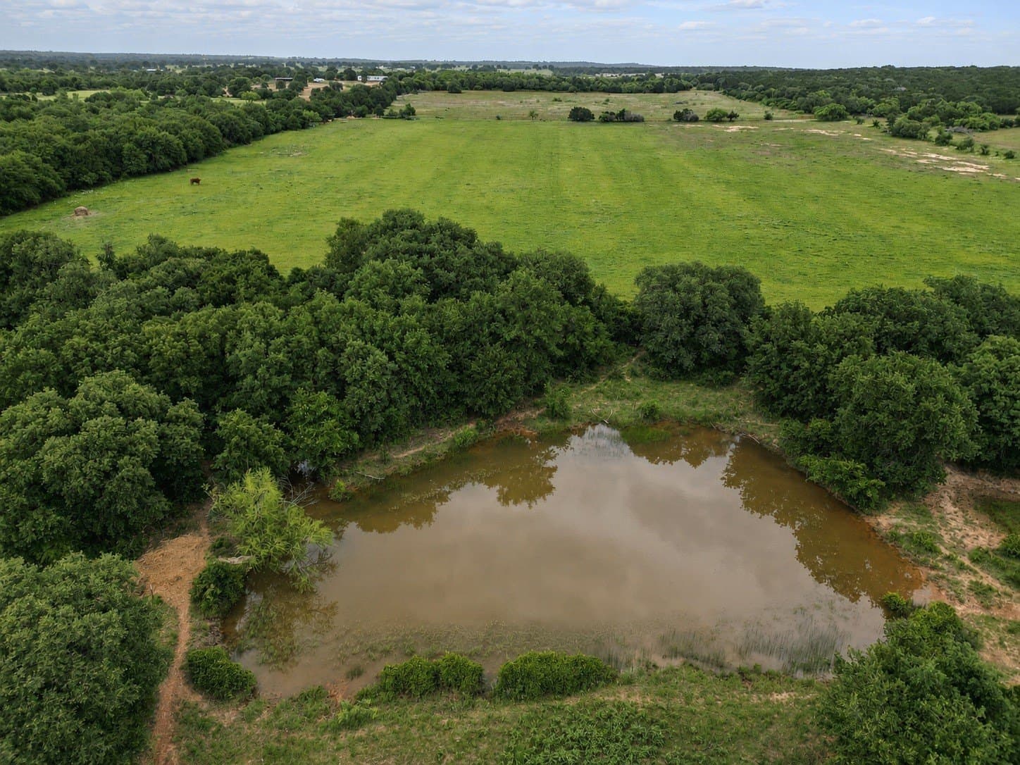 51.91 acres in Callahan County - photo 31