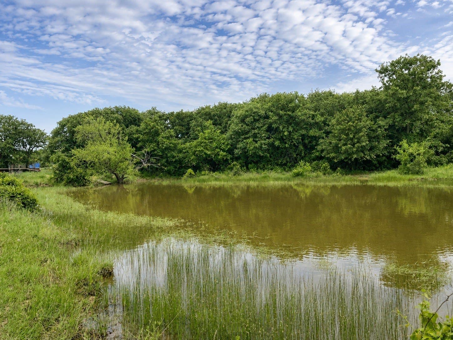 51.91 acres in Callahan County - photo 40
