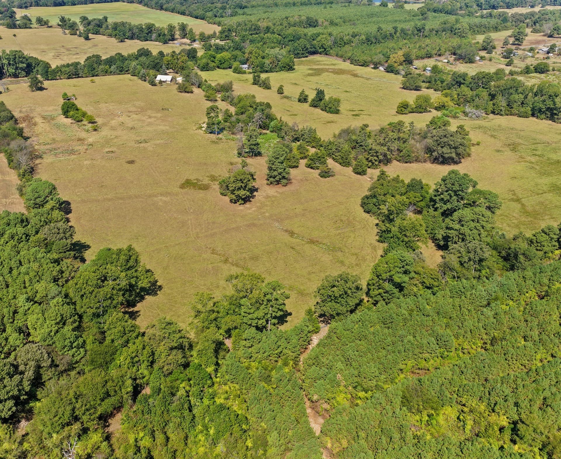 97.56 acres in Camp County - photo 36