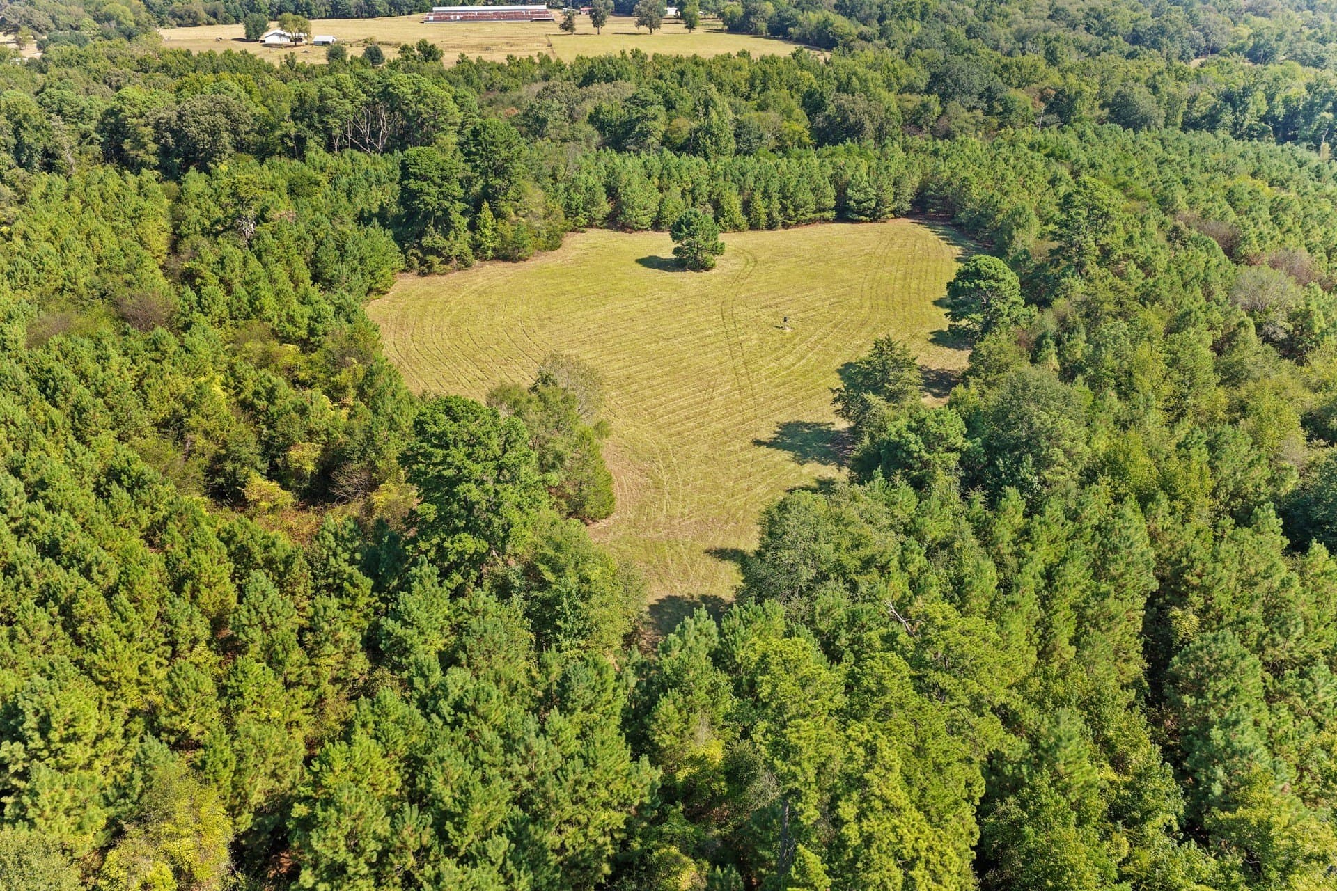 97.56 acres in Camp County - photo 37