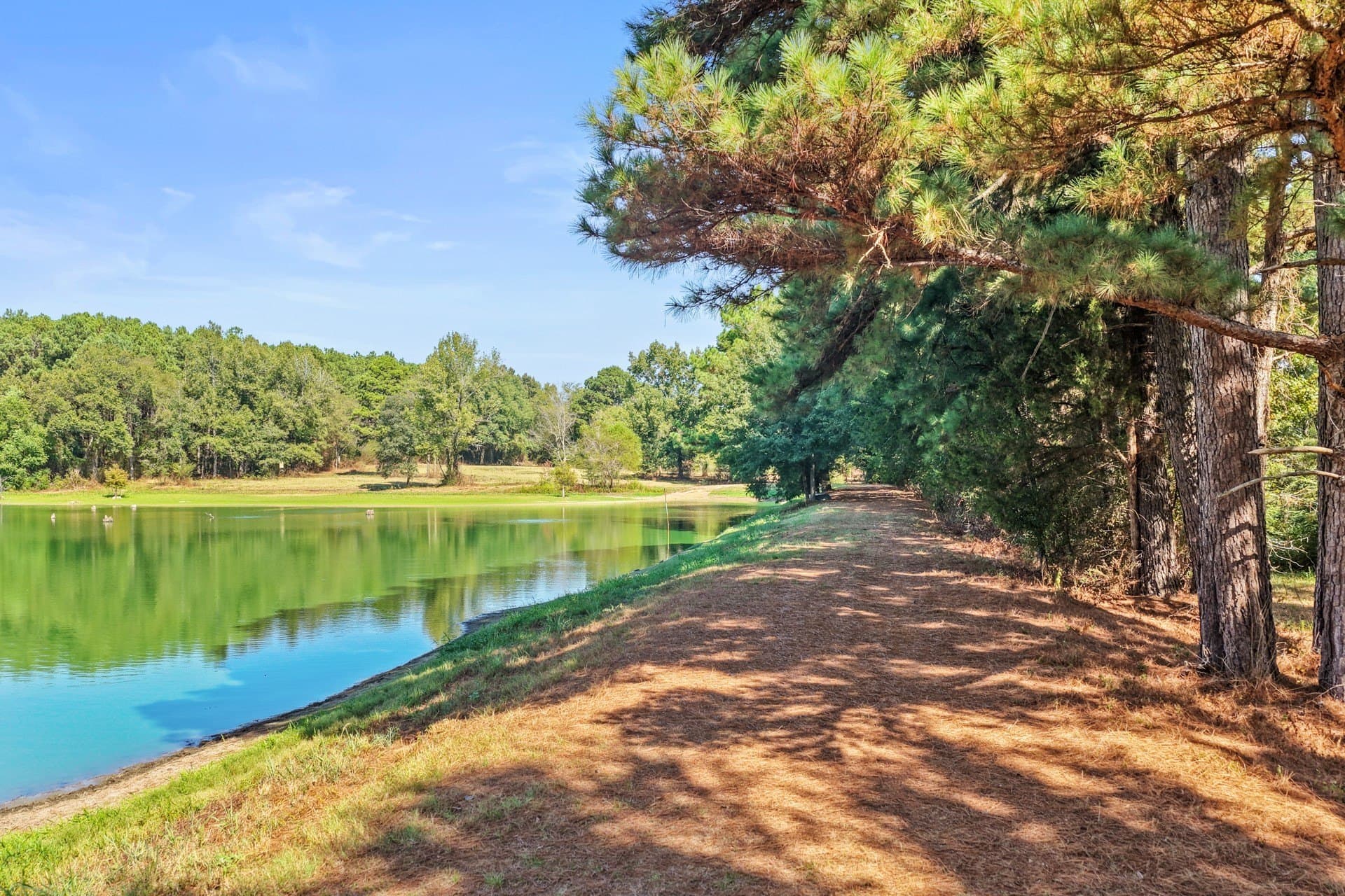 97.56 acres in Camp County - photo 38