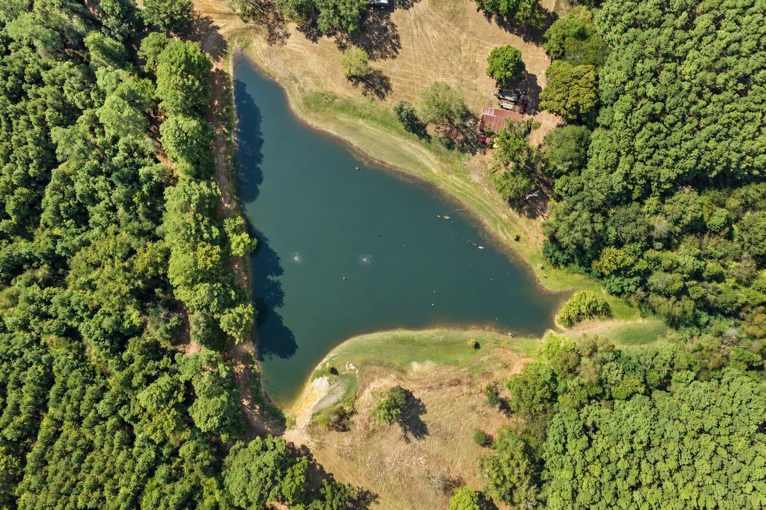 97.56 acres in Camp County - photo 34