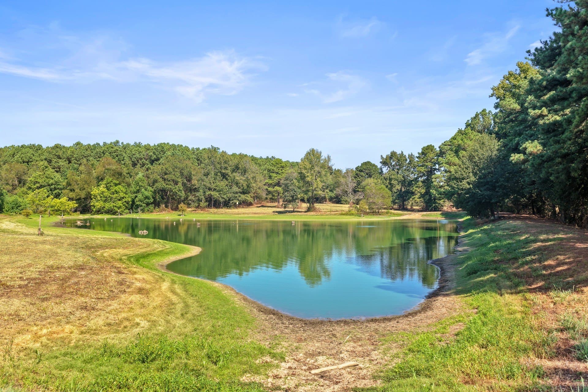 97.56 acres in Camp County - photo 21