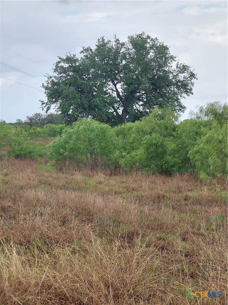 5.61 acres in Caldwell County - photo 3