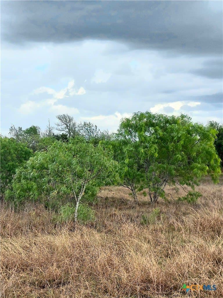 5.61 acres in Caldwell County - photo 4