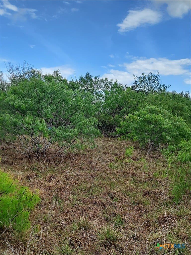 5.61 acres in Caldwell County - photo 2