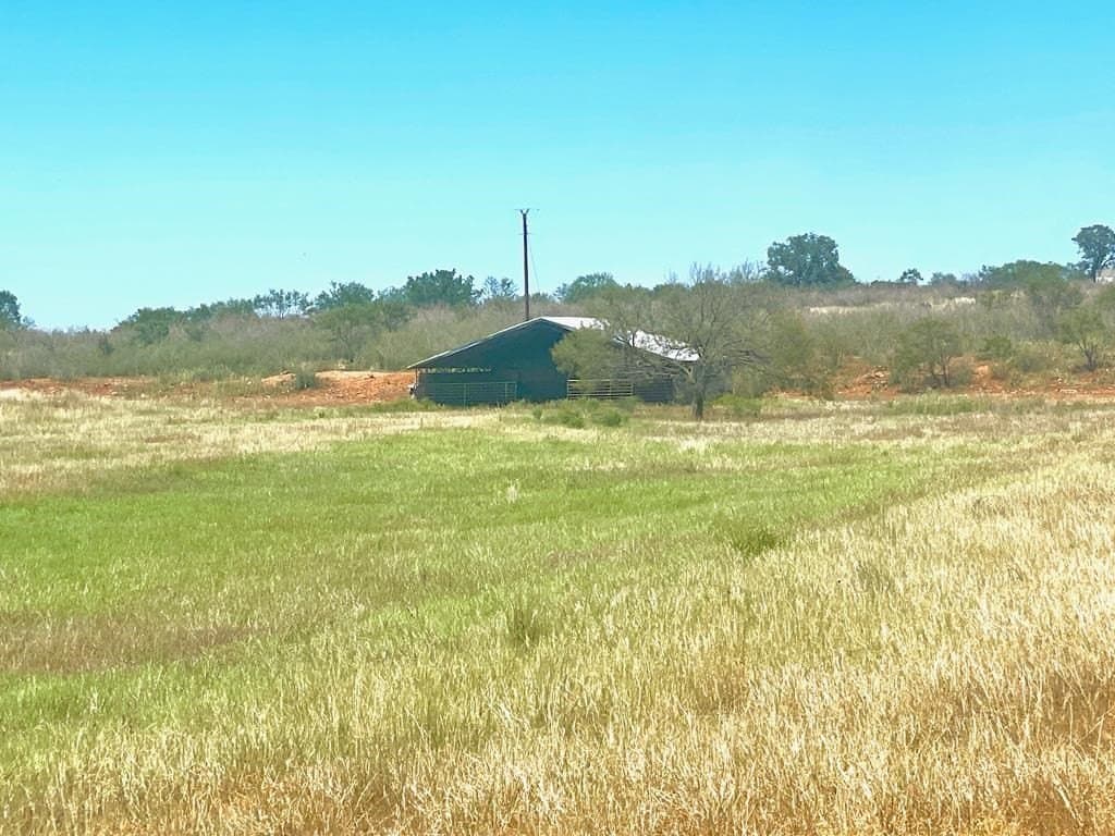 24.34 acres in Mason County gallery image 4