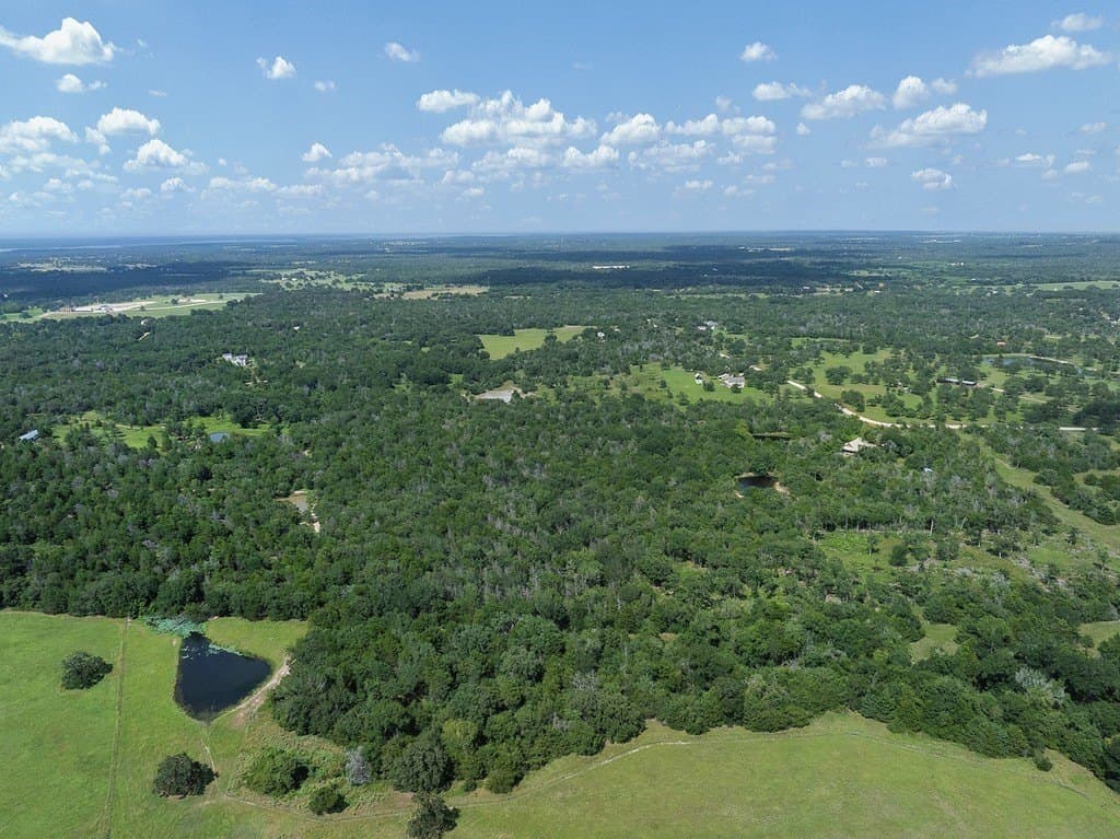 10 acres in Washington County - photo 7
