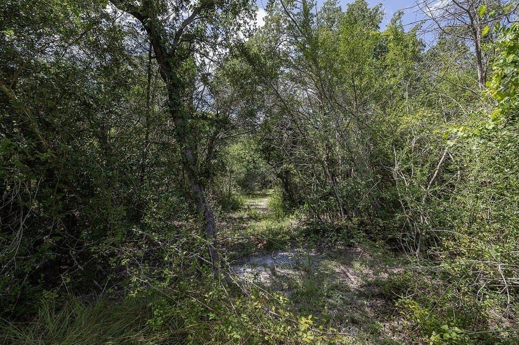 10 acres in Washington County gallery image 4