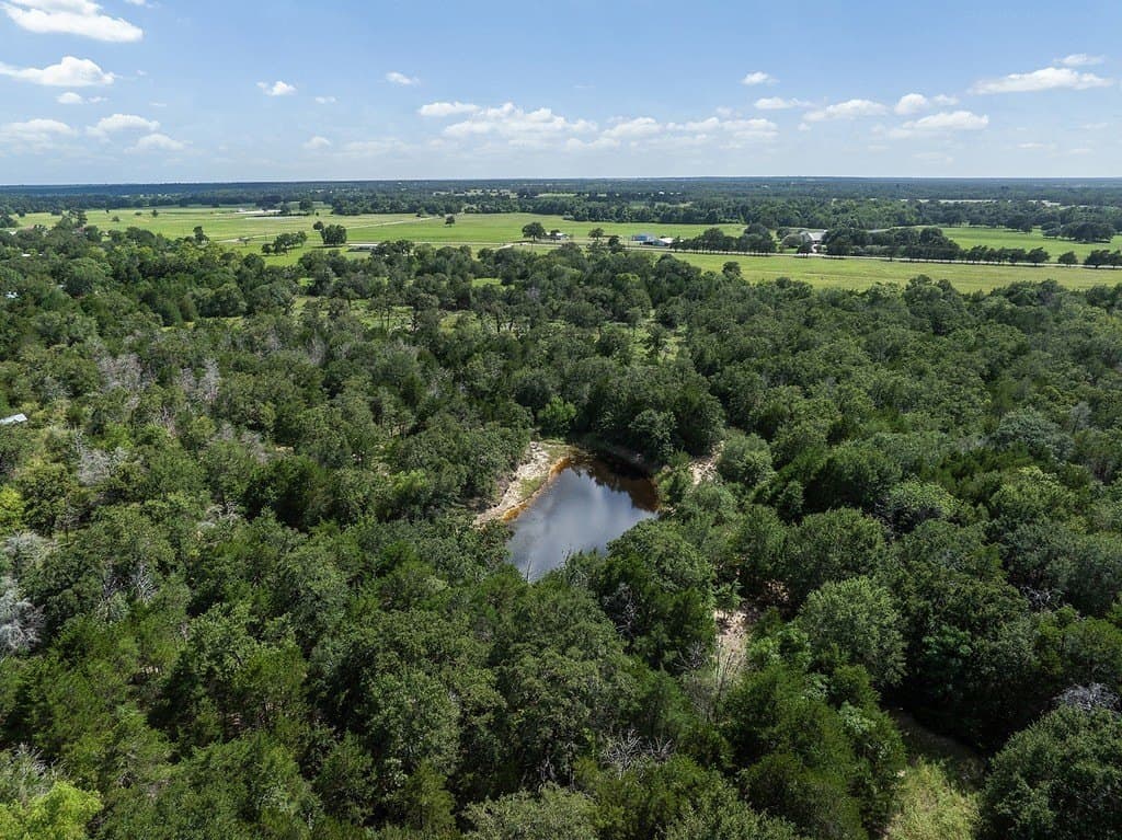 10 acres in Washington County - photo 8