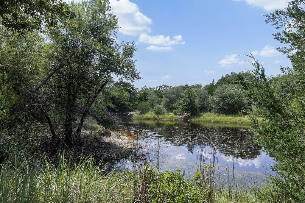 10 acres in Washington County gallery image 3