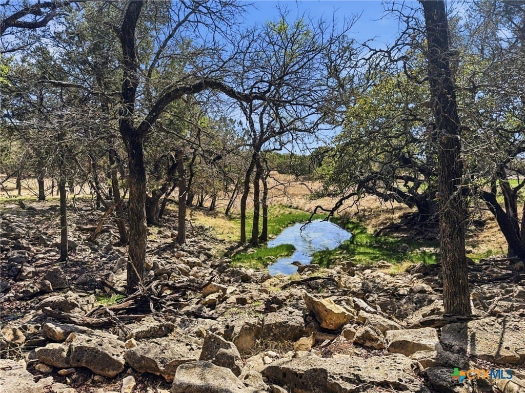 35.16 acres in Coryell County - photo 29