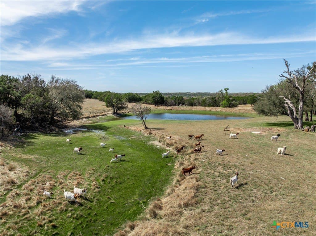 35.16 acres in Coryell County - photo 24