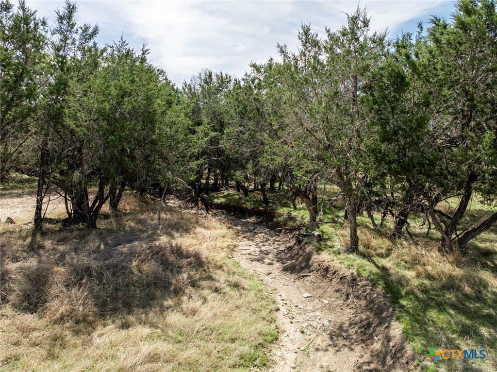 35.16 acres in Coryell County - photo 37