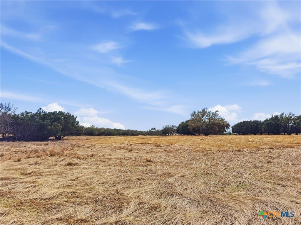 35.16 acres in Coryell County - photo 40