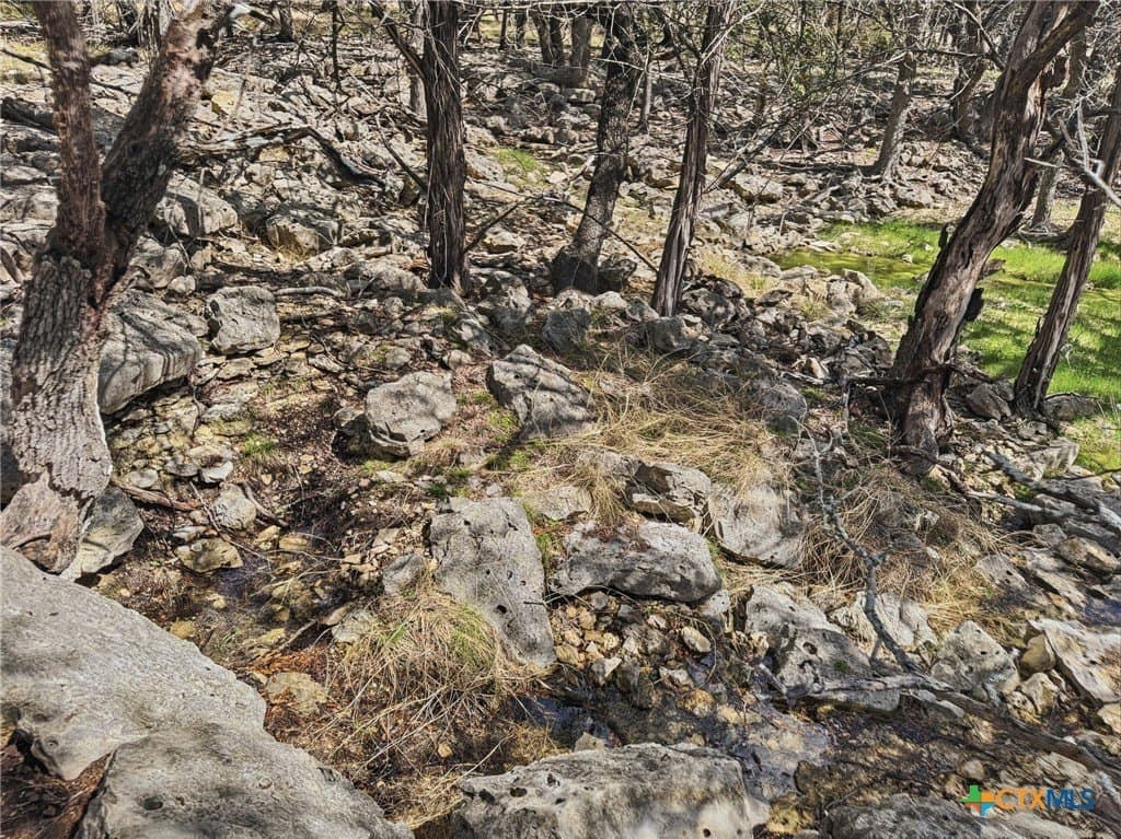 35.16 acres in Coryell County - photo 28