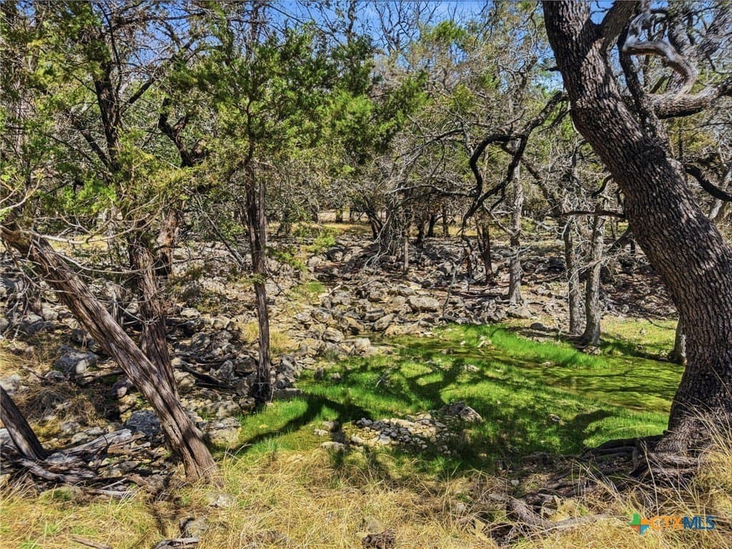 35.16 acres in Coryell County - photo 27