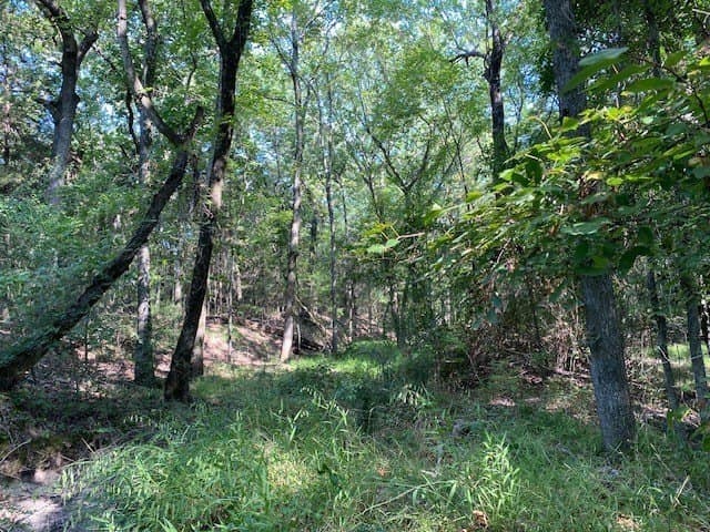 12.42 acres in Henderson County - photo 3
