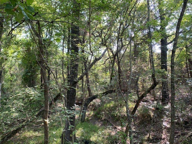 12.42 acres in Henderson County - photo 5