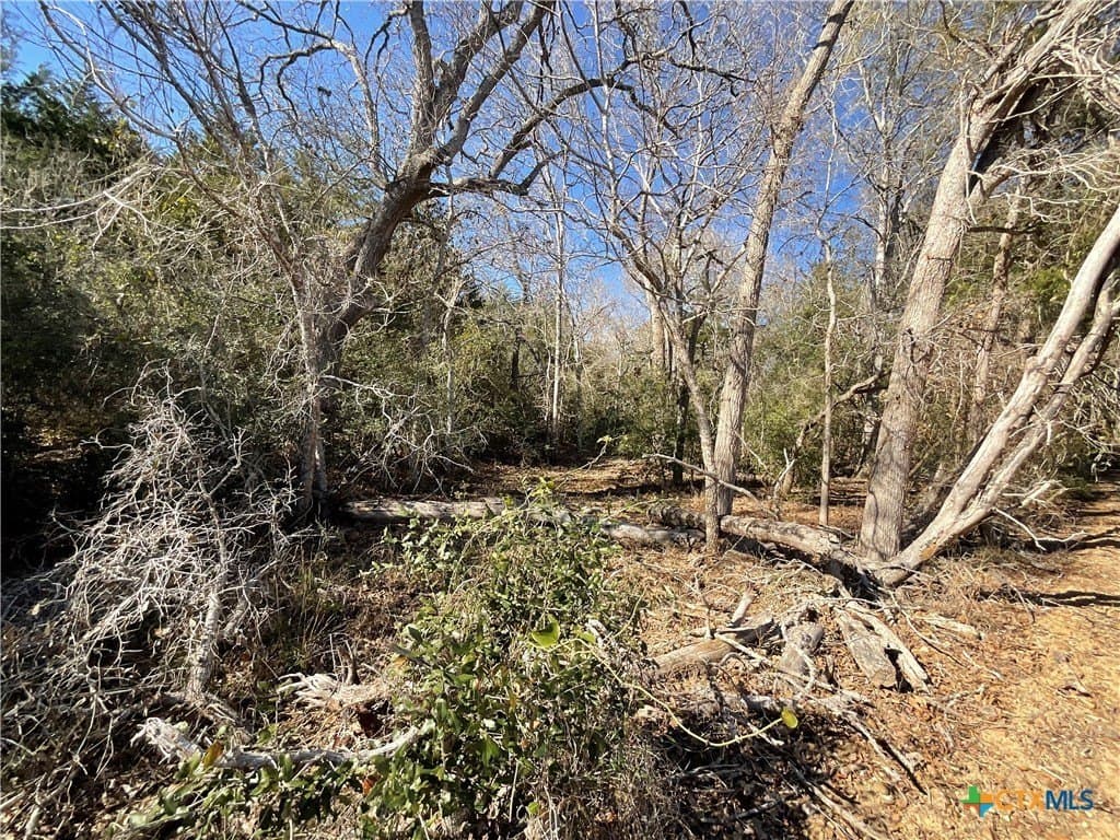 50 acres in Lavaca County gallery image 3