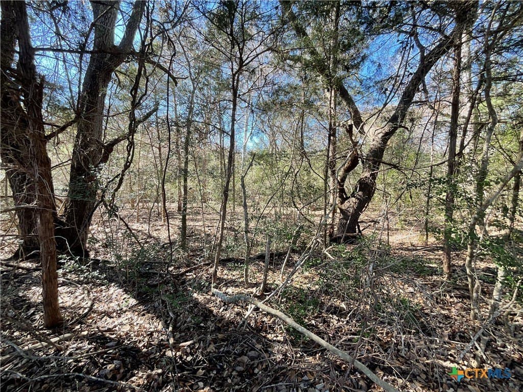 50 acres in Lavaca County gallery image 4