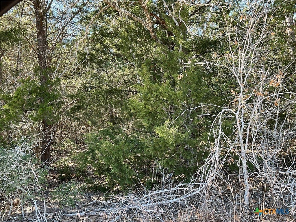 50 acres in Lavaca County featured view