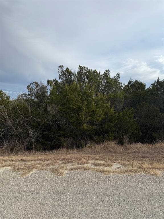 0.07 acres in Hood County gallery image 2