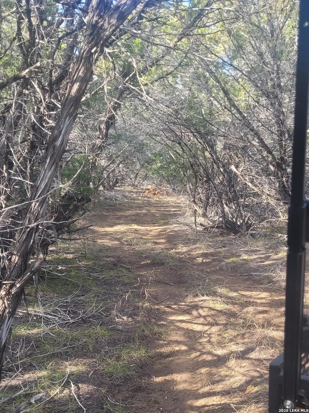 15.02 acres in Uvalde County - photo 10