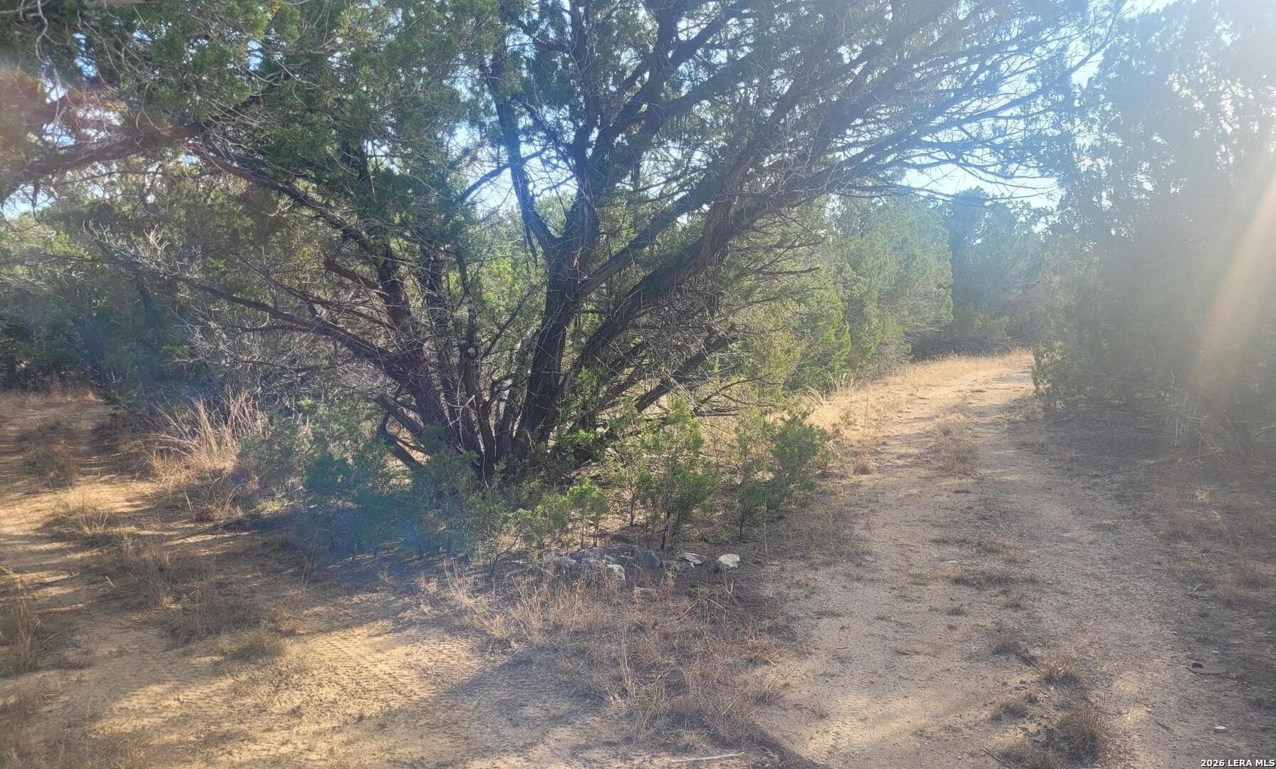 15.02 acres in Uvalde County - photo 7