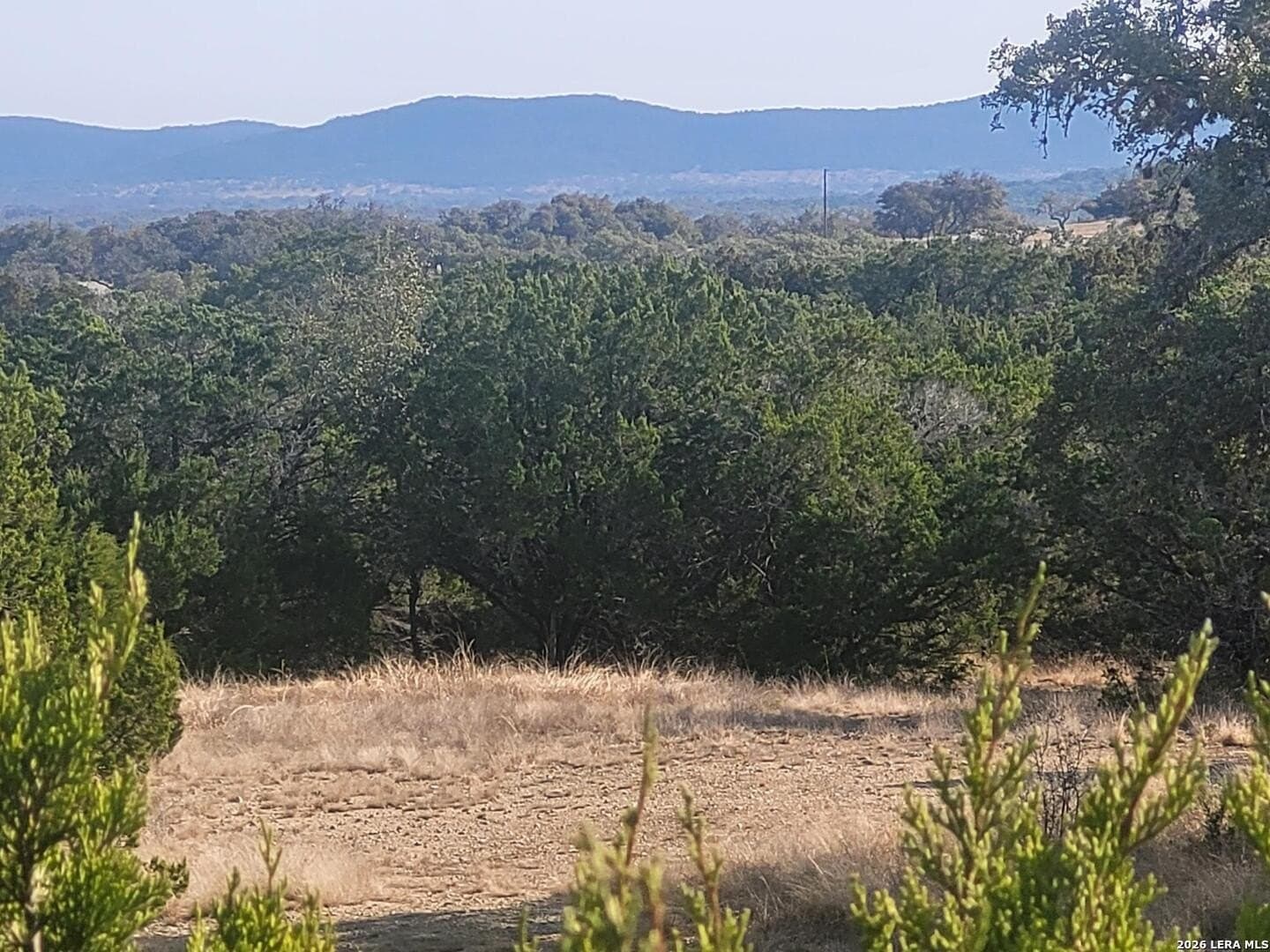 15.02 acres in Uvalde County gallery image 3