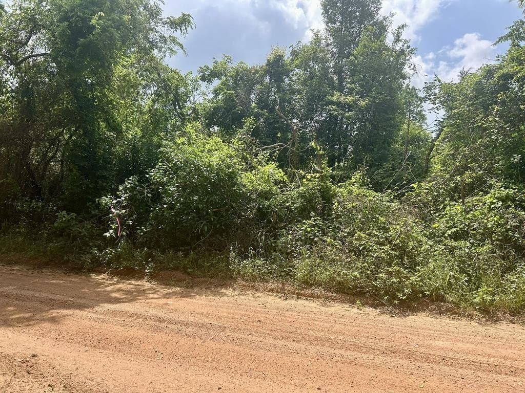 1.13 acres in Texas County gallery image 4