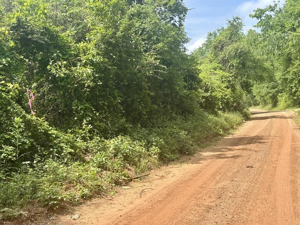 1.13 acres in Texas County