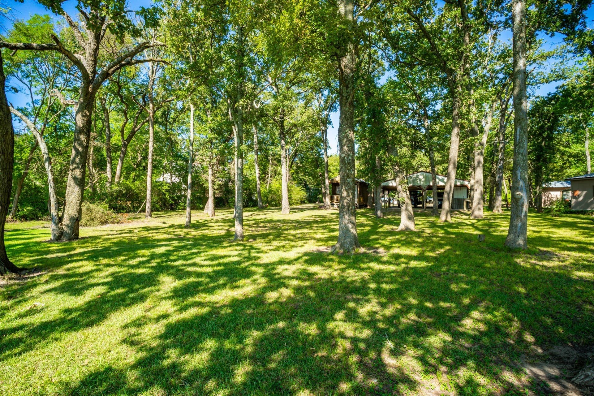 1.06 acres in Limestone County gallery image 2