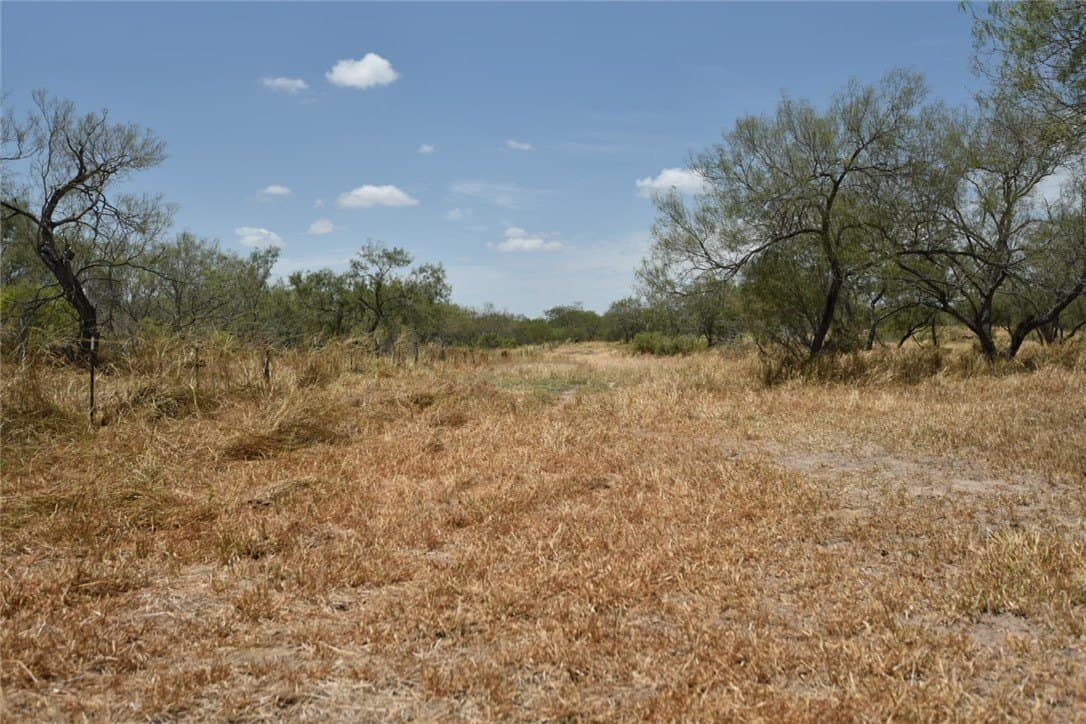 12.74 acres in Brooks County - photo 33