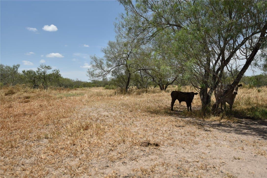 12.74 acres in Brooks County - photo 35