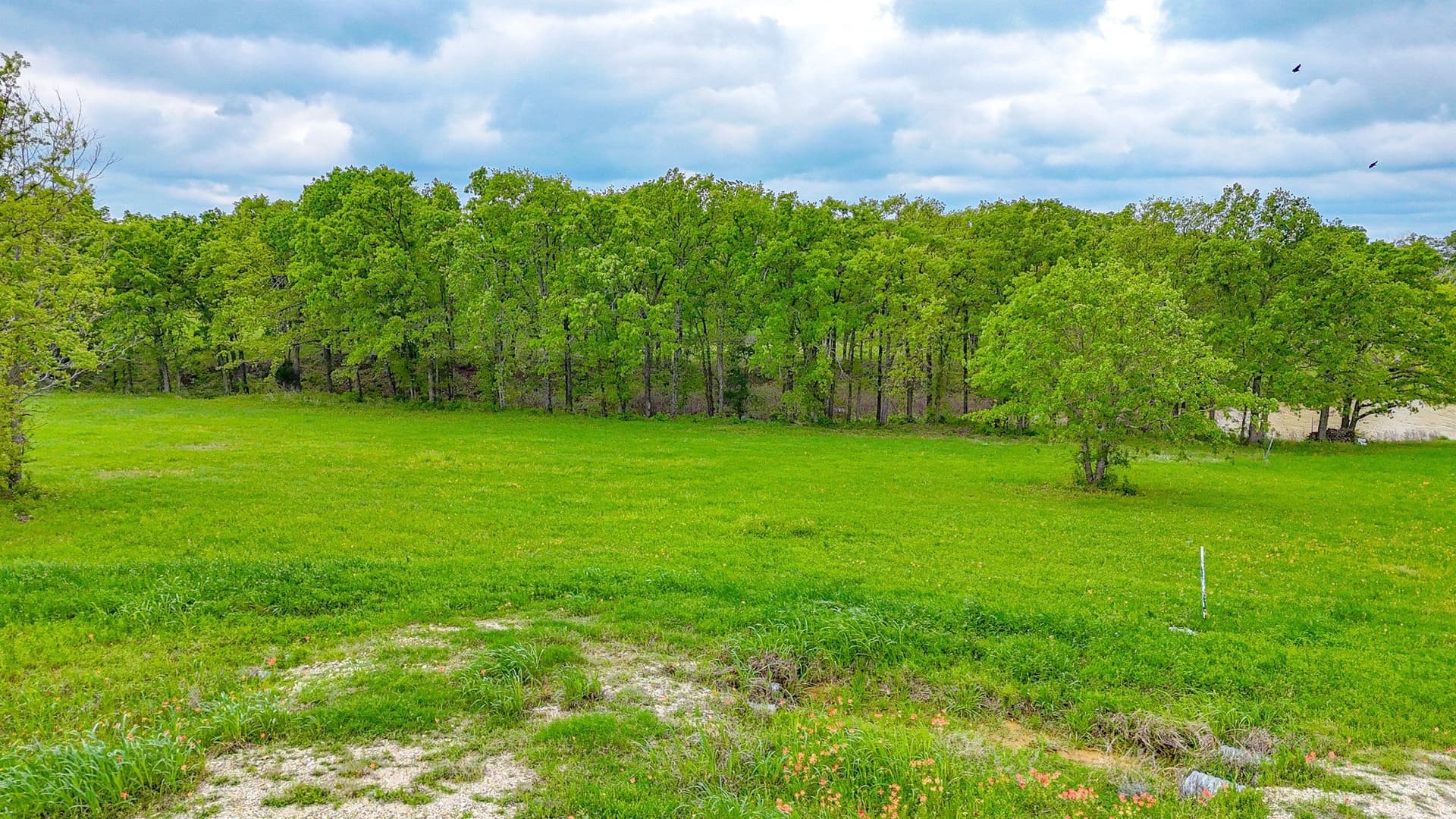 2.04 acres in Navarro County - photo 6