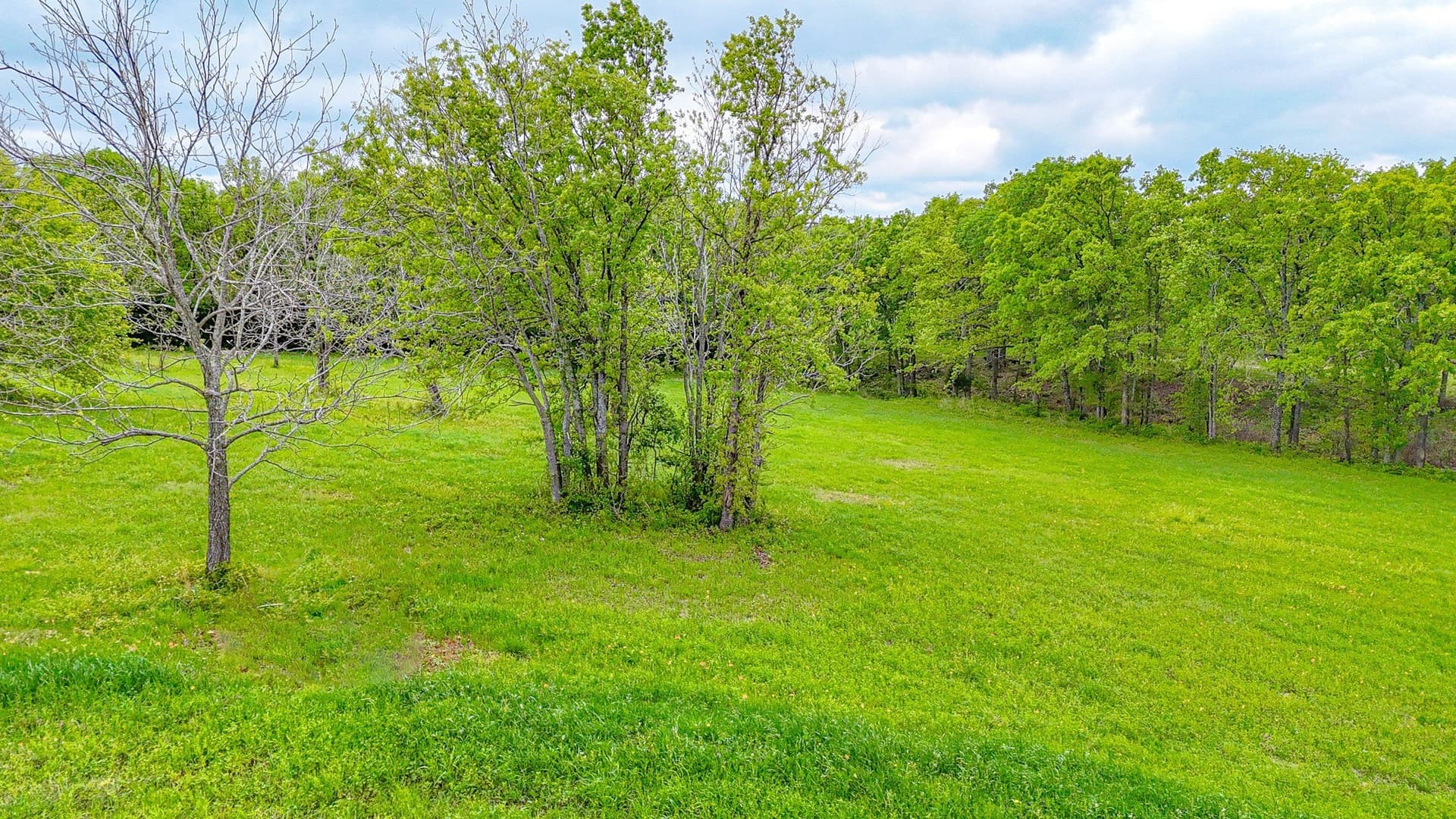 2.04 acres in Navarro County - photo 7