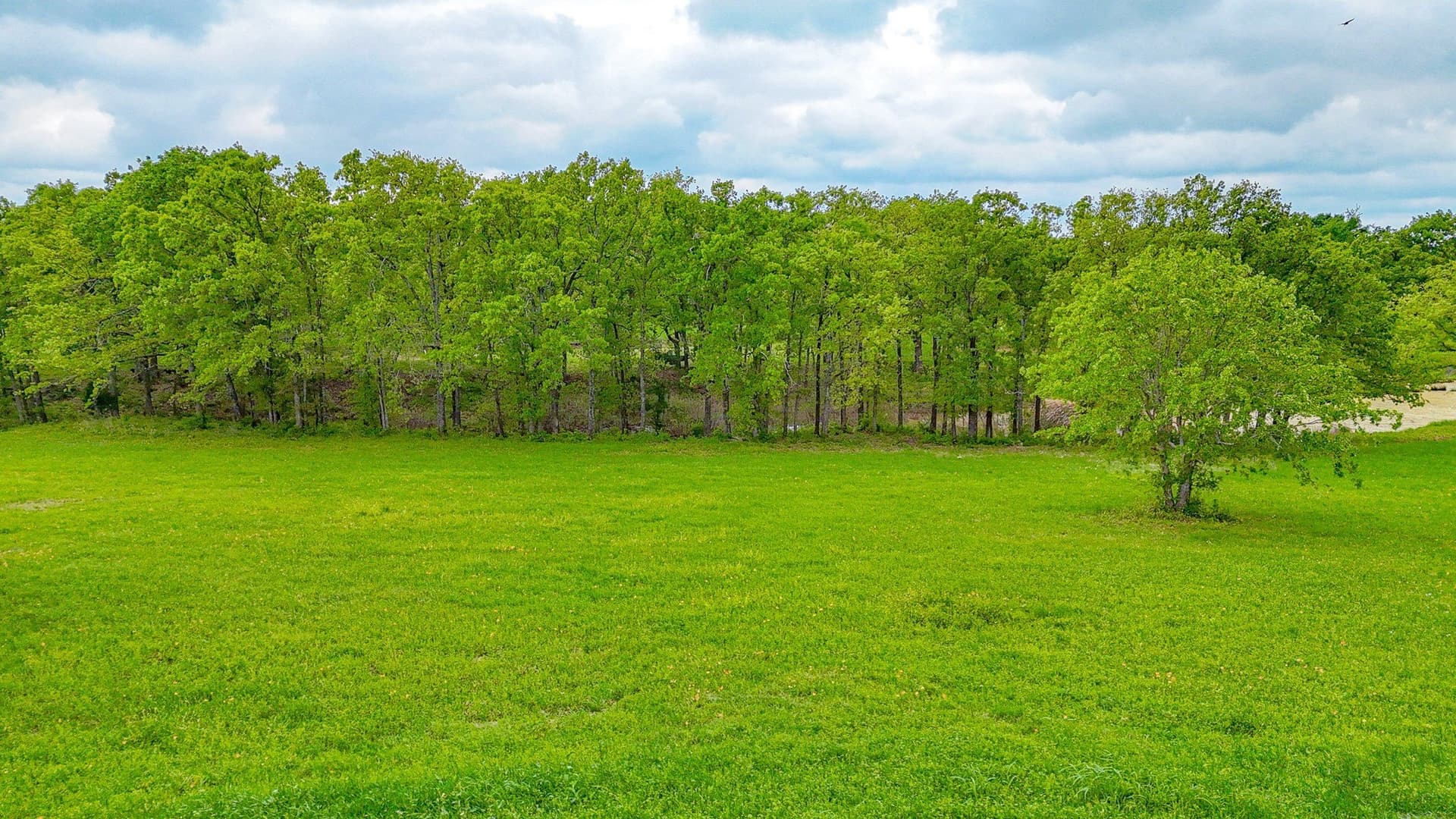 2.04 acres in Navarro County - photo 8