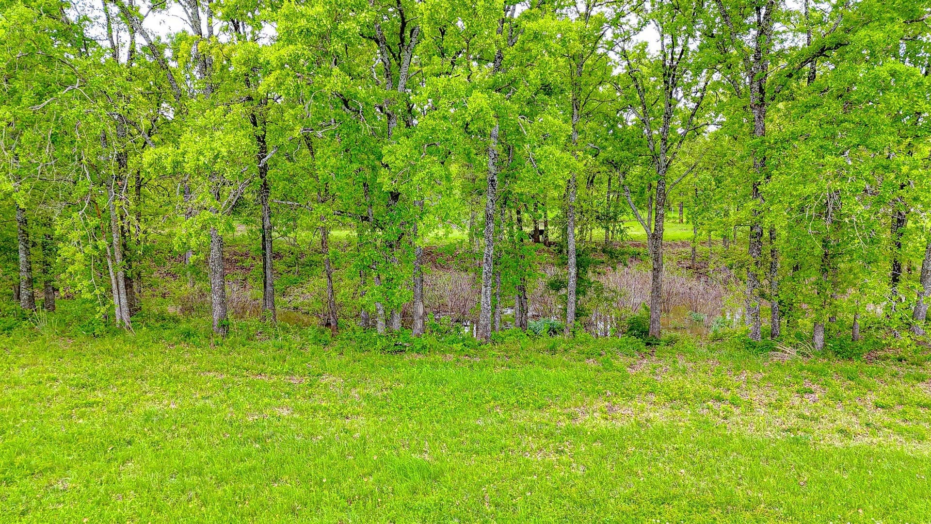 2.04 acres in Navarro County - photo 13