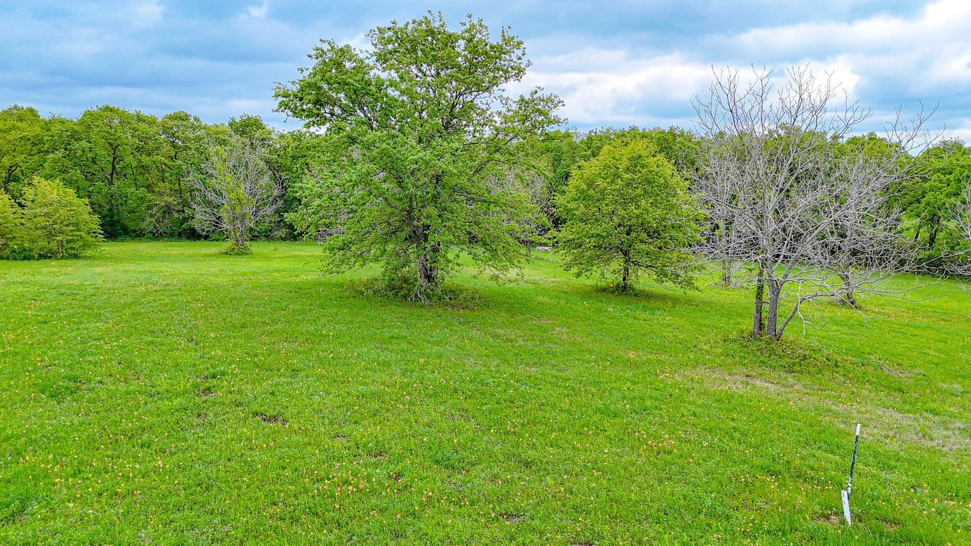 2.04 acres in Navarro County - photo 9
